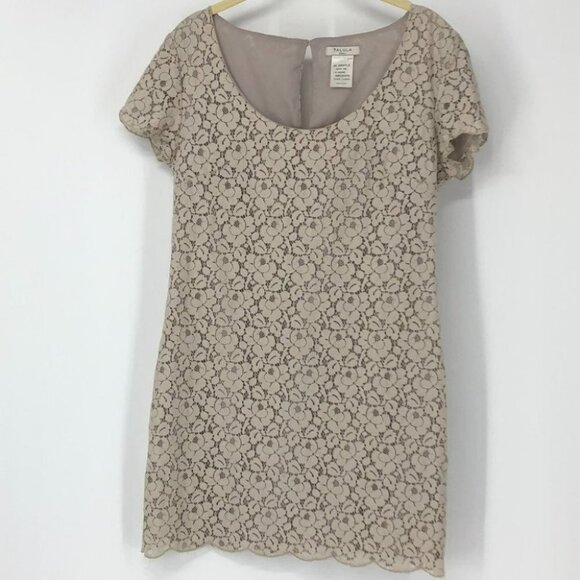 Talula  Creme taupe lace scoop neck mini dress/tunic blouse small - Picture 13 of 14